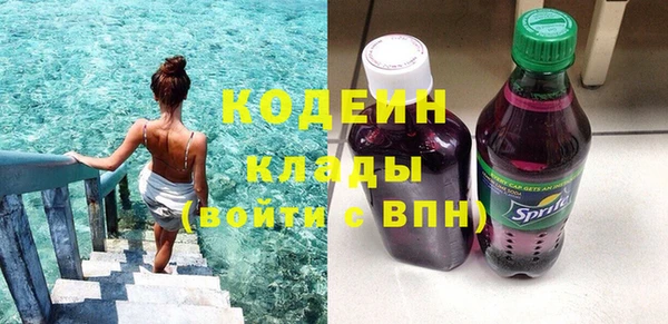 шишки Краснослободск