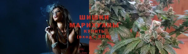 шишки Краснослободск