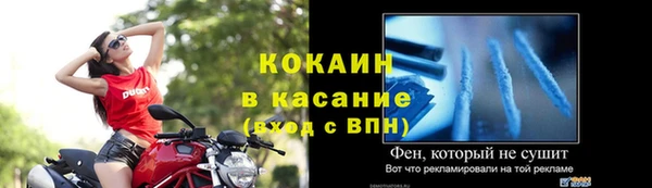 шишки Краснослободск