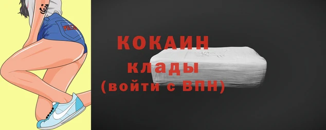 шишки Краснослободск