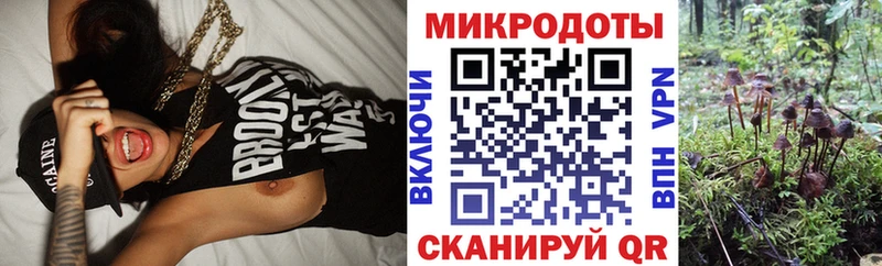 Галлюциногенные грибы мухоморы  Купить закладки  Кашира 